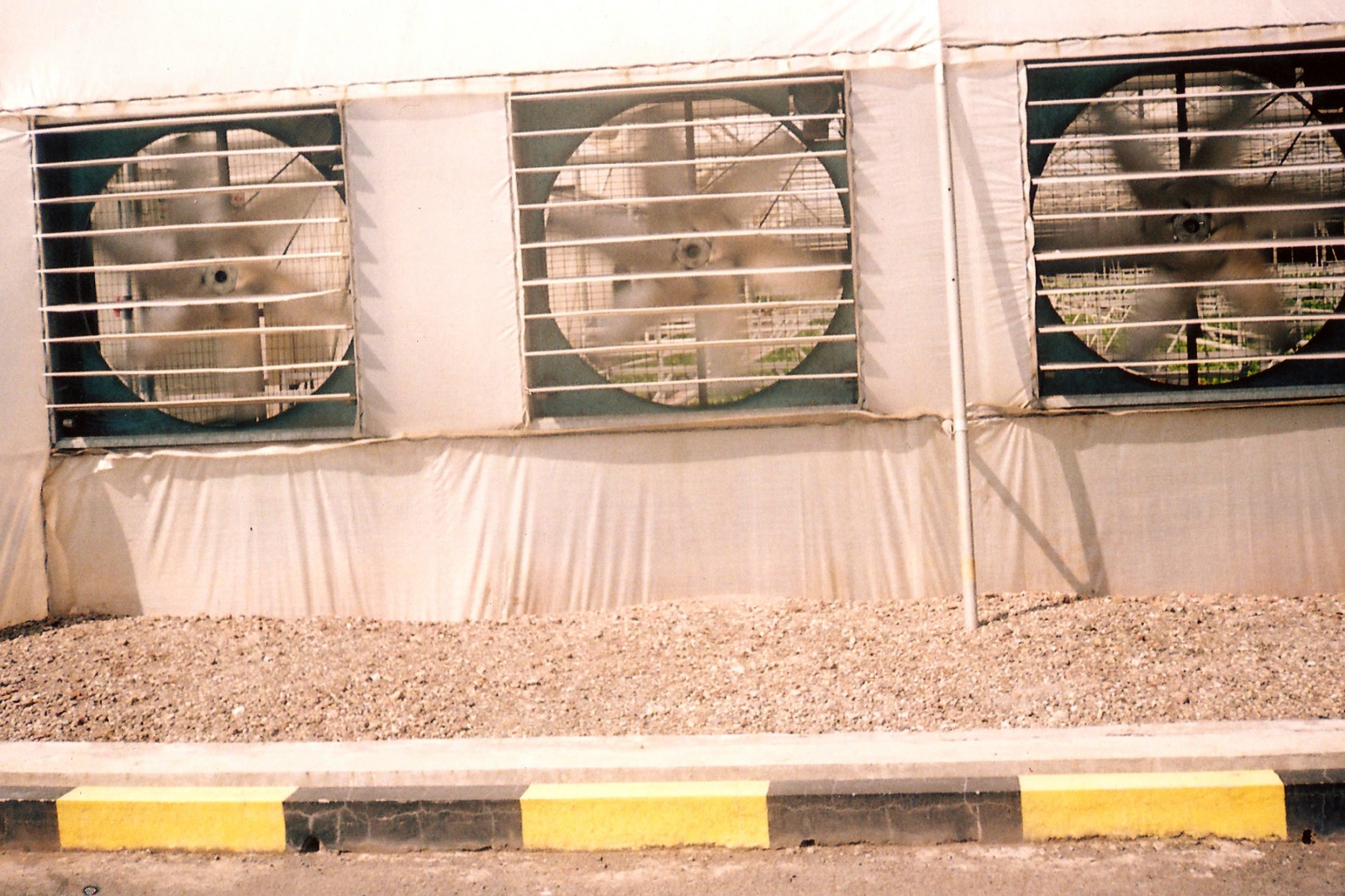 Greenhouse Project 8